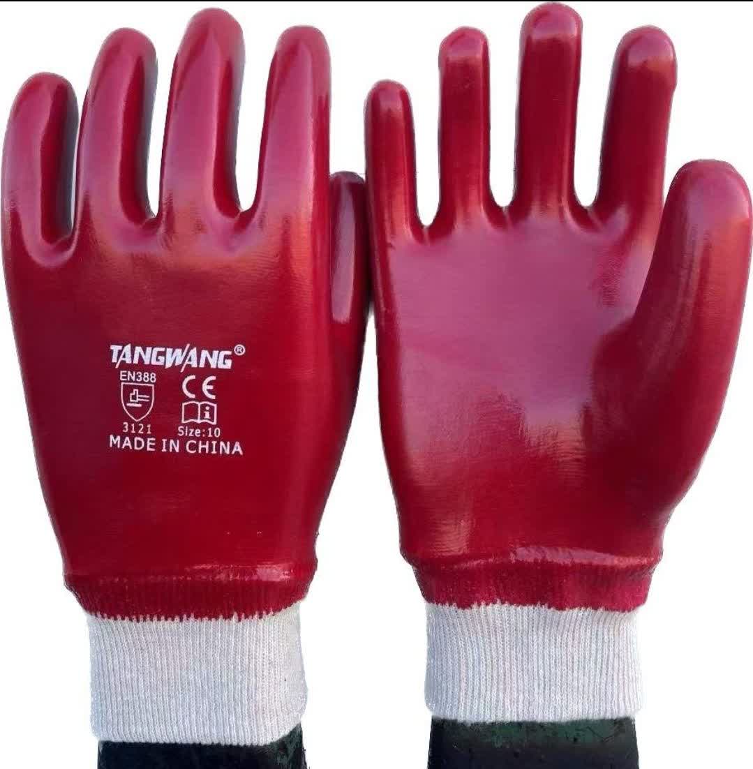 photo_۲۰۲۵-۱۲-۲۰_۱۶-۰۲-۱۰